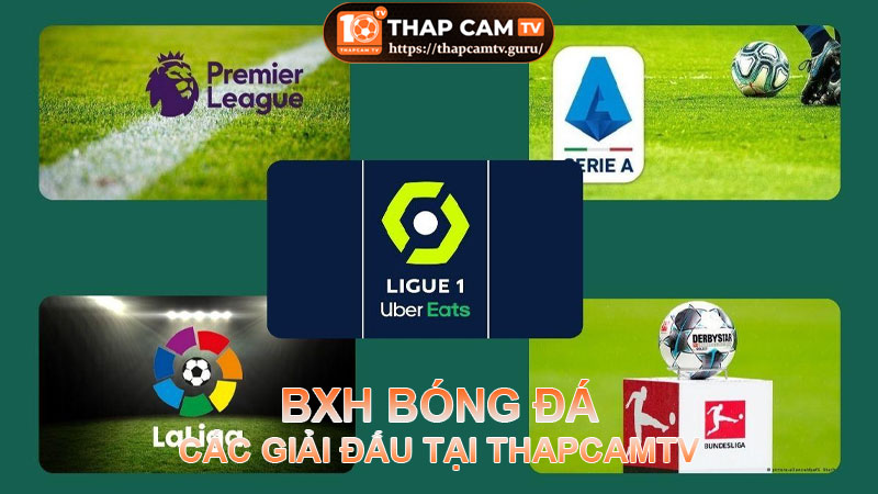 Thapcamtv