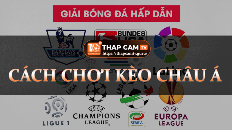 Thập cẩm tv