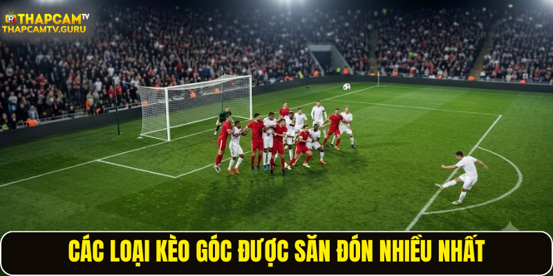 Các loại kèo góc được săn đón nhiều nhất