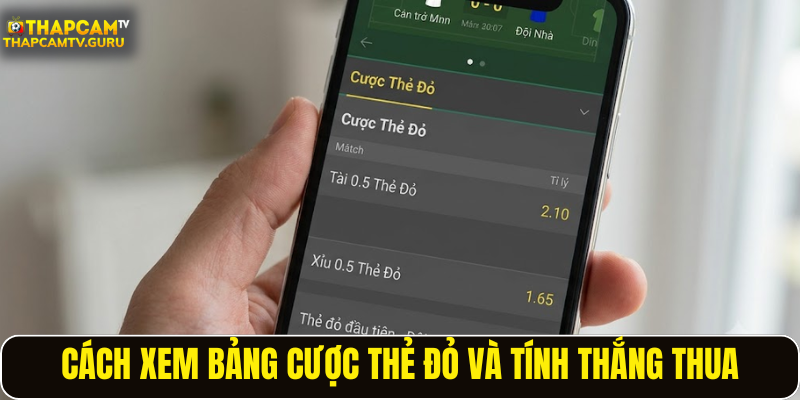 Cách xem bảng cược thẻ đỏ và tính thắng thua