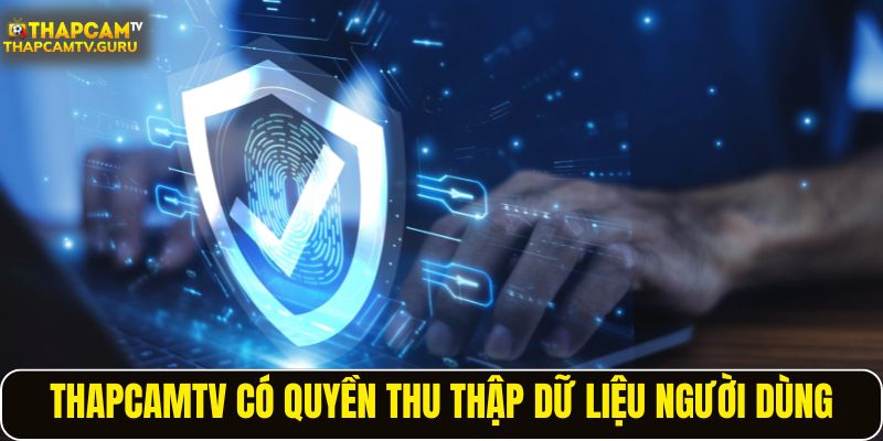 ThapcamTV có quyền thu thập dữ liệu người dùng
